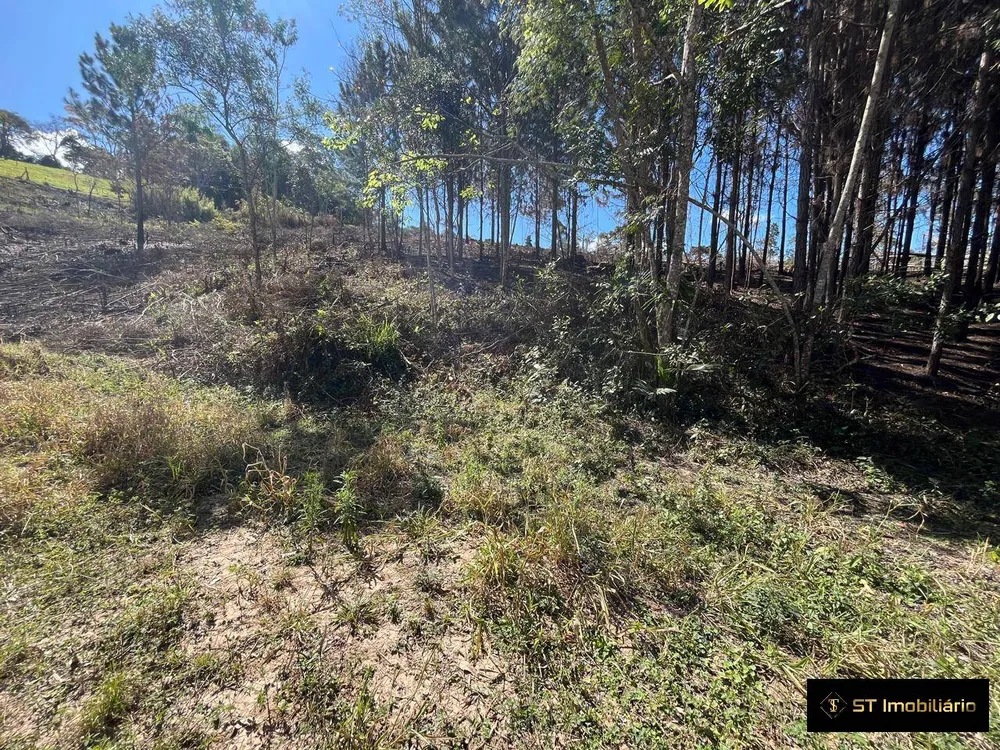 Terreno, 1 hectares - Foto 6