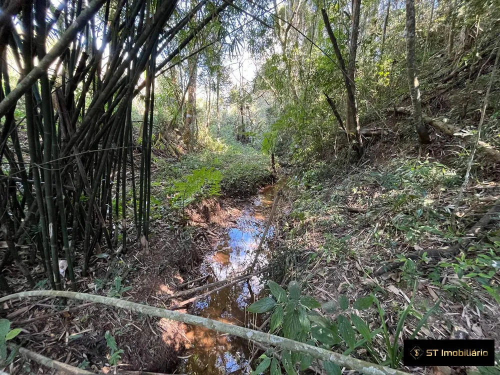 Terreno, 1 hectares - Foto 10