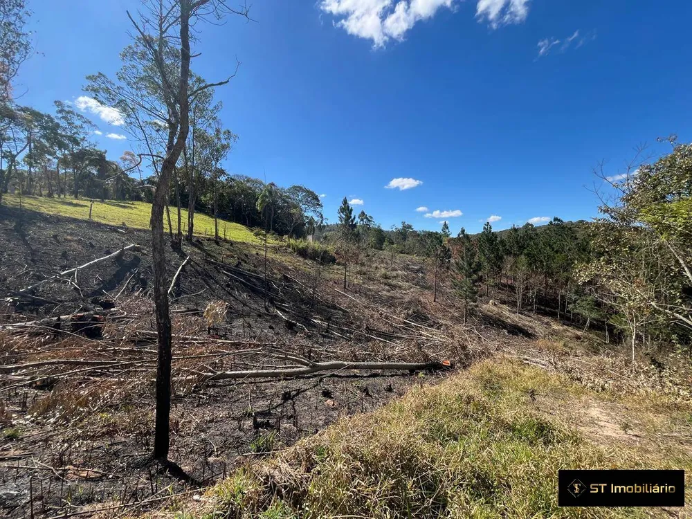 Terreno, 1 hectares - Foto 3