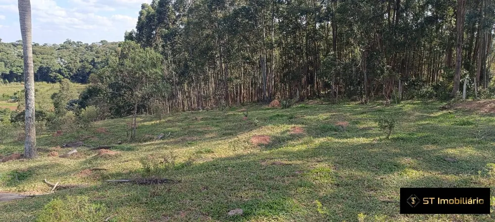 Terreno, 3 hectares - Foto 9