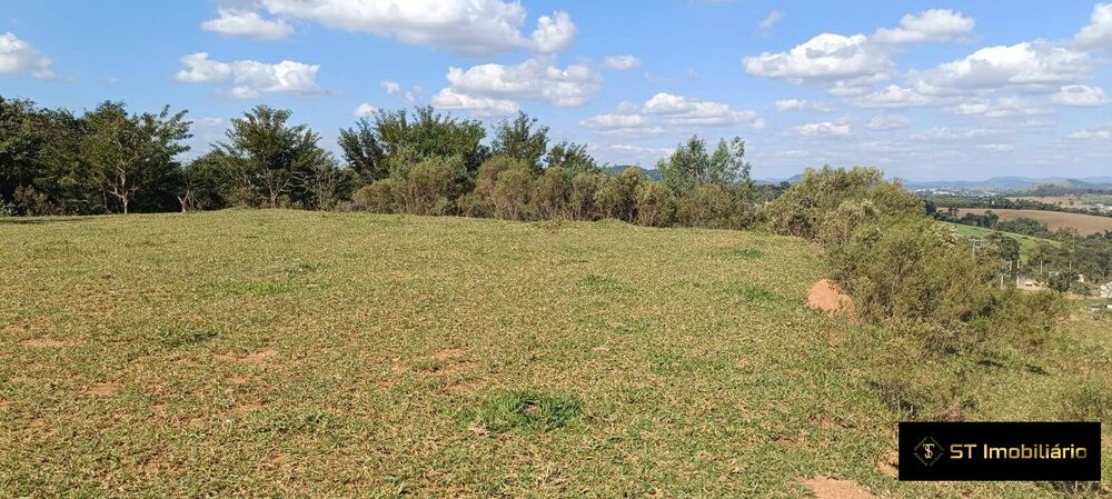 Terreno, 3 hectares - Foto 4