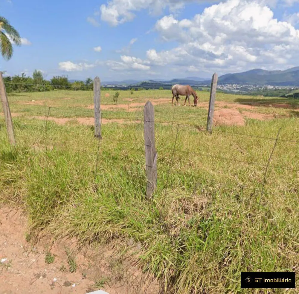 Terreno, 3 hectares - Foto 7