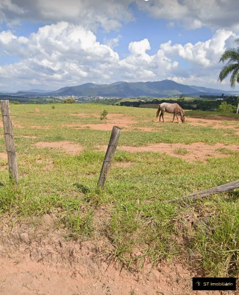 Terreno, 3 hectares - Foto 8