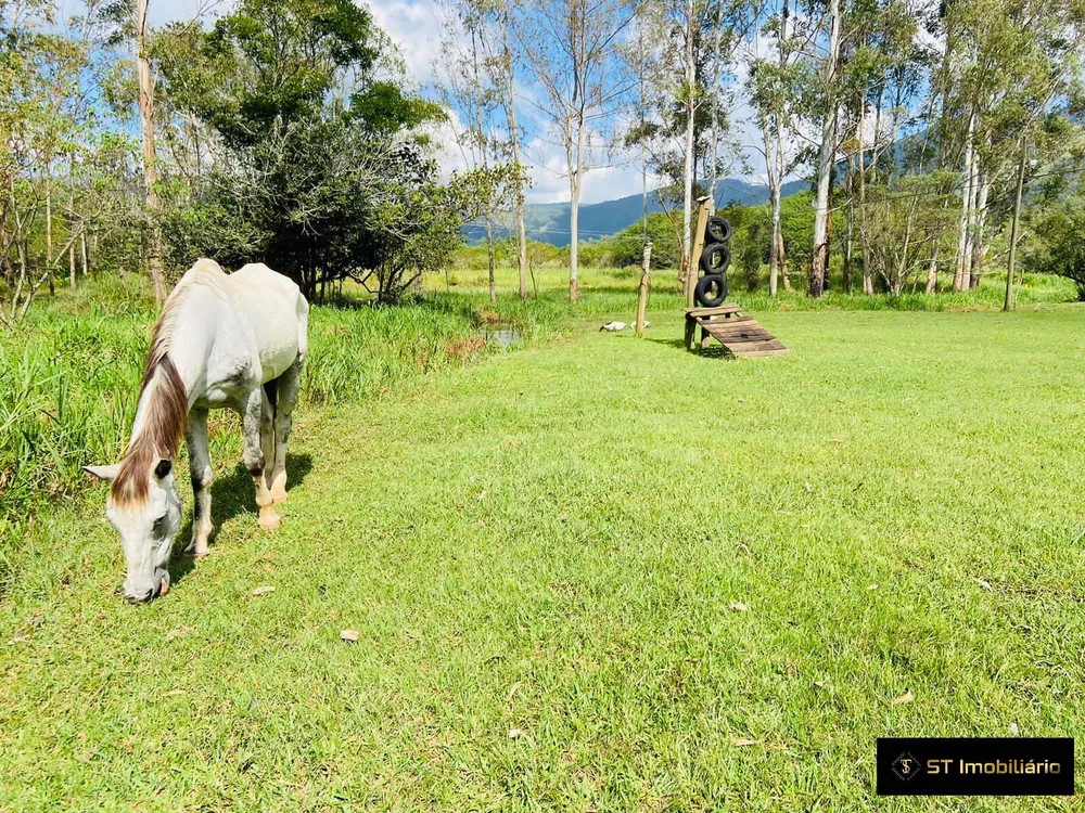 Fazenda à venda com 4 quartos, 18000m² - Foto 4