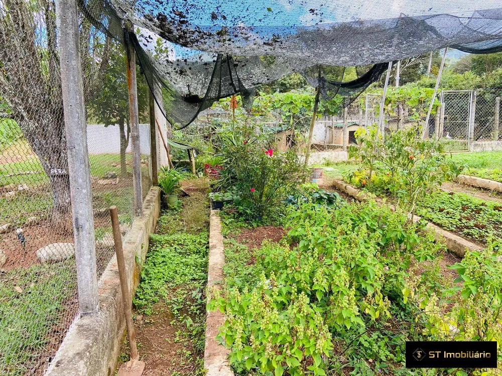 Sítio, 4 quartos, 2 hectares - Foto 15