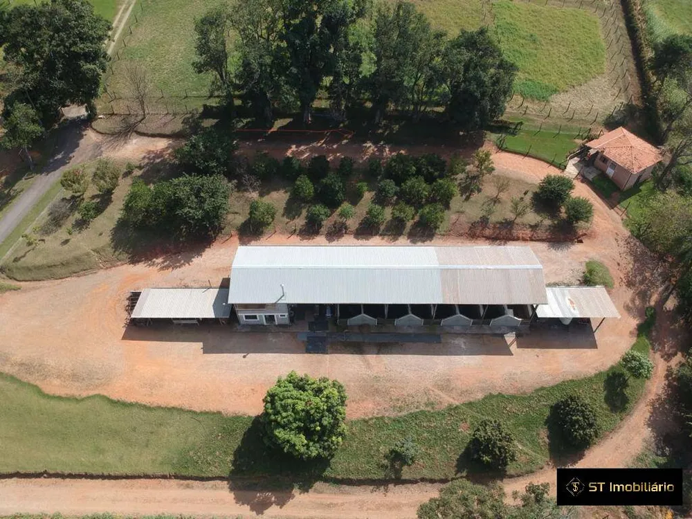 Sítio, 9 quartos, 6 hectares - Foto 1