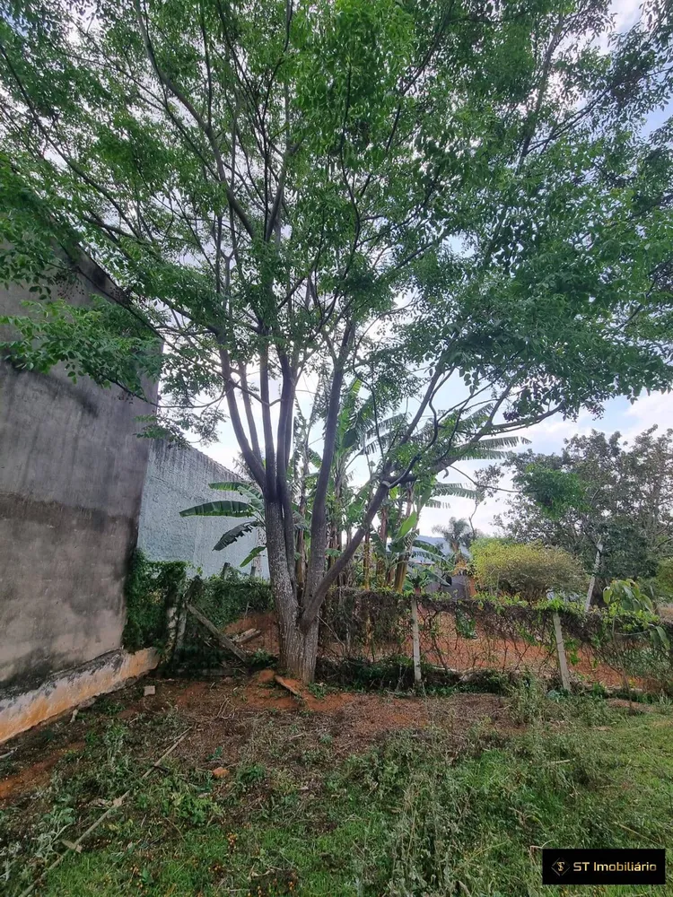 Chácara, 4 quartos, 2300 m² - Foto 3