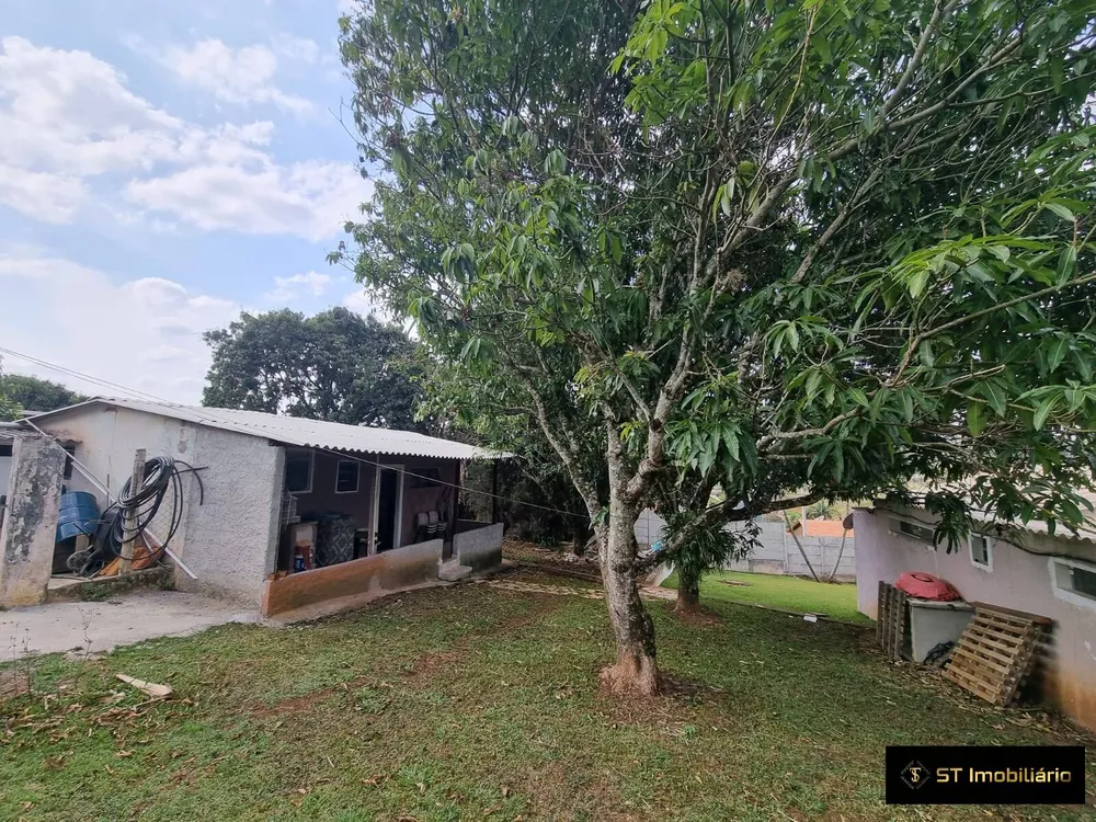 Fazenda à venda com 4 quartos, 250m² - Foto 4