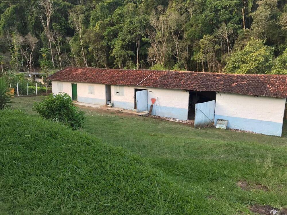Sítio à venda com 5 quartos, 200000m² - Foto 4