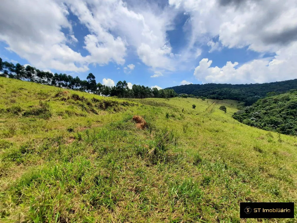 Sítio, 5 quartos, 22 hectares - Foto 15
