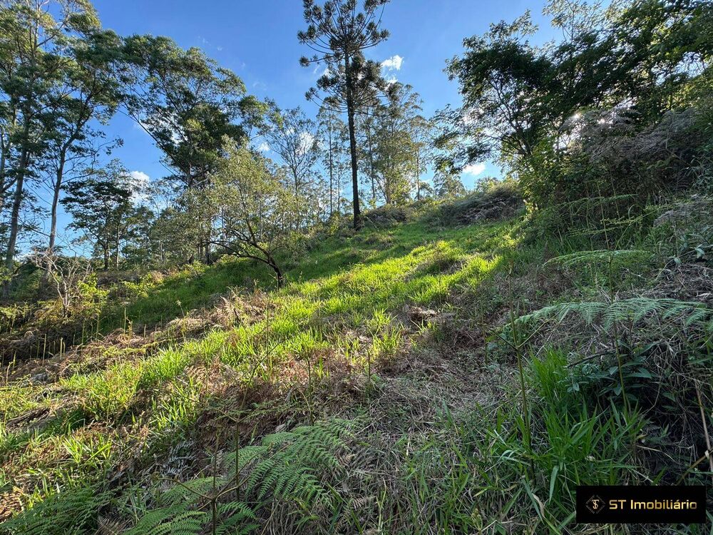 Terreno, 1469 m² - Foto 4