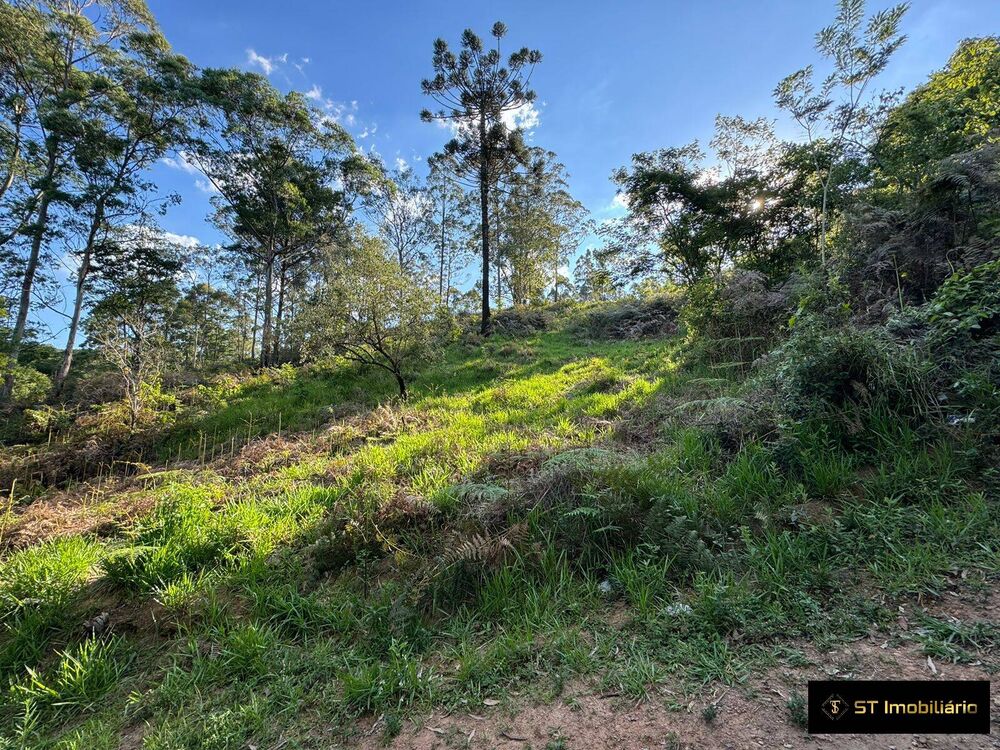 Terreno, 1469 m² - Foto 1