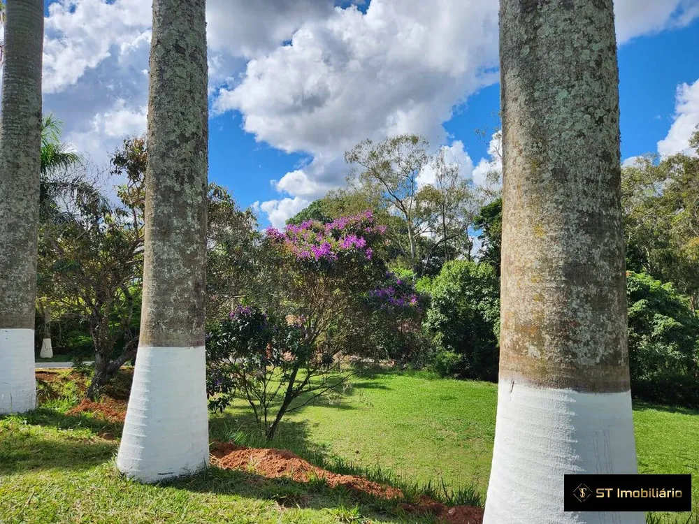 Chácara, 3 quartos, 4000 m² - Foto 3