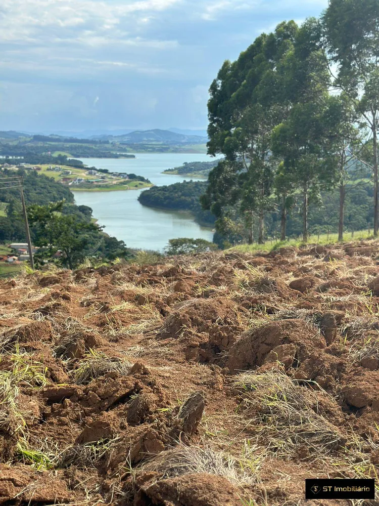 Terreno, 2 hectares - Foto 4