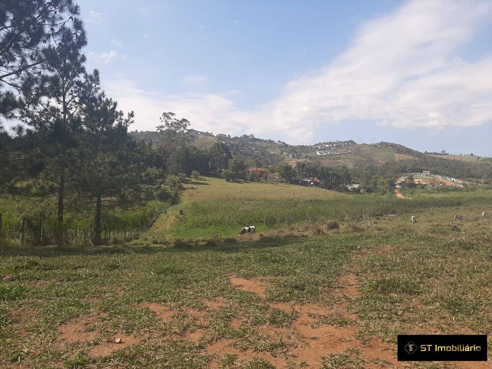 Terreno, 3 hectares - Foto 4