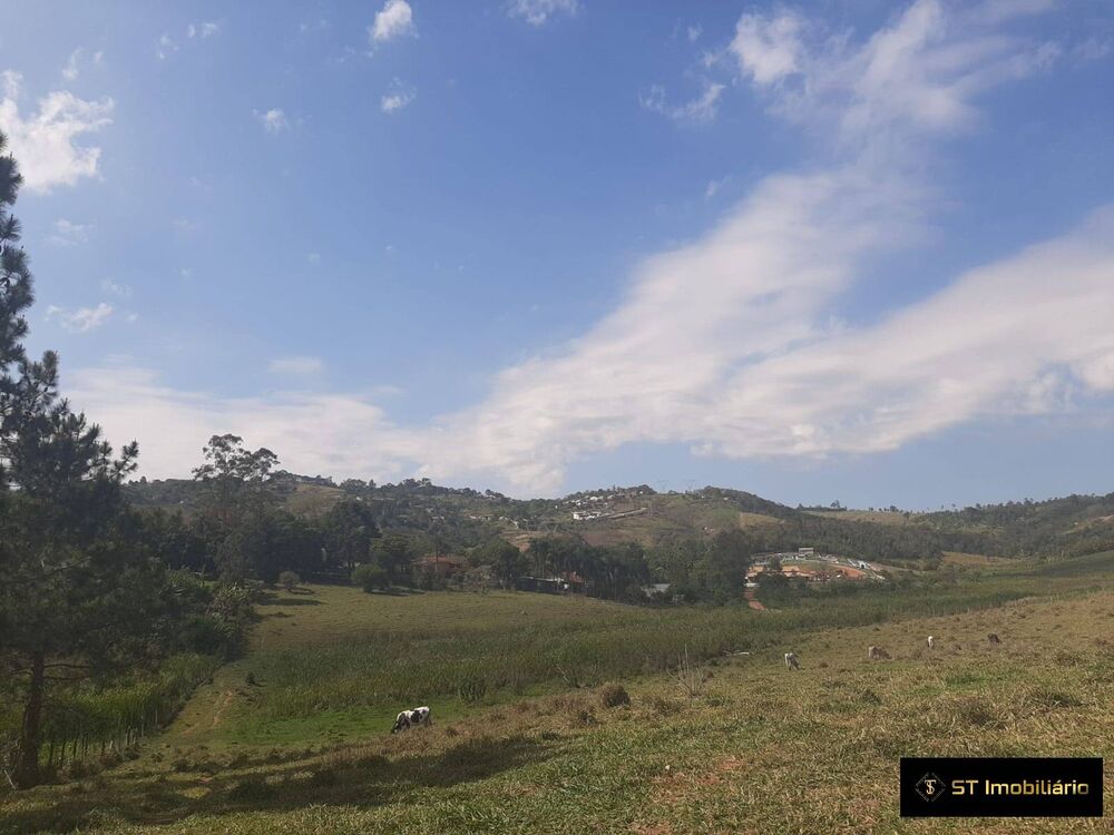 Terreno, 3 hectares - Foto 3