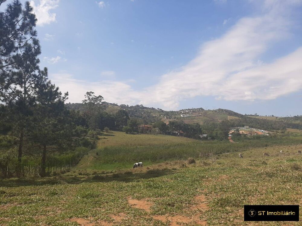 Terreno, 3 hectares - Foto 2