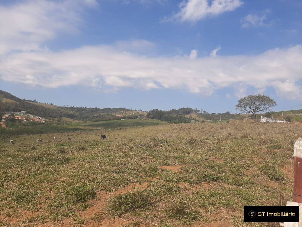 Terreno, 3 hectares - Foto 1