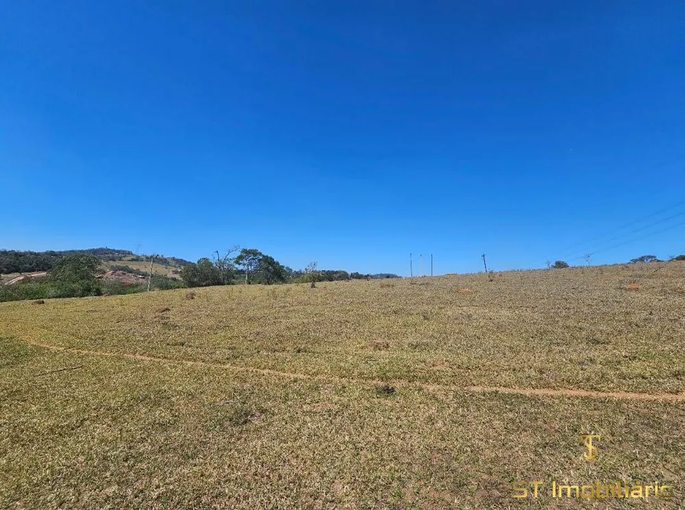 Terreno, 3 hectares - Foto 4