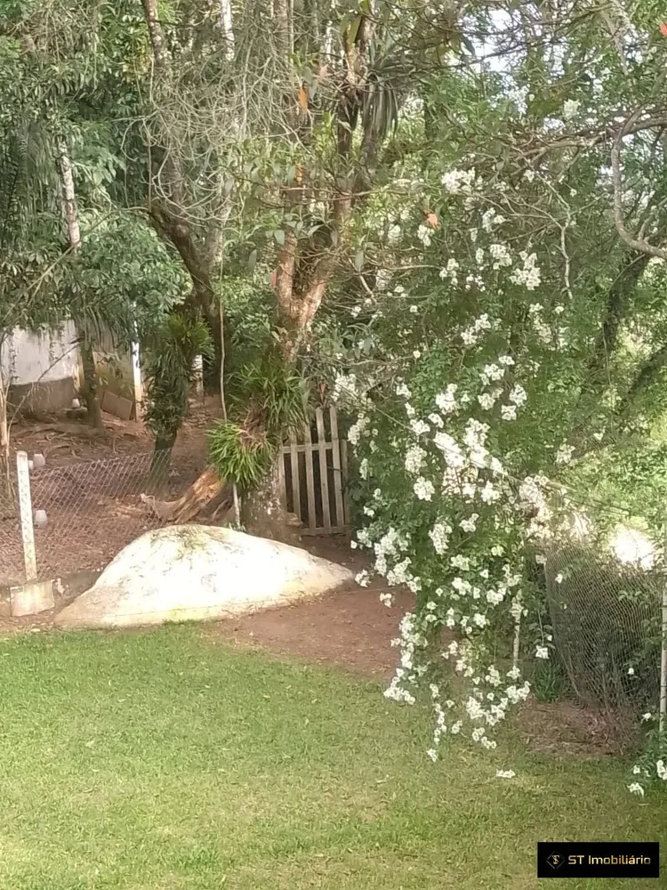 Chácara, 3 quartos, 1800 m² - Foto 5