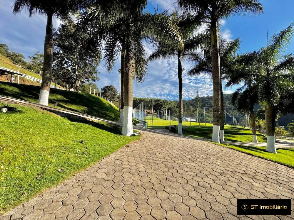 Sítio, 6 quartos, 9 hectares - Foto 4