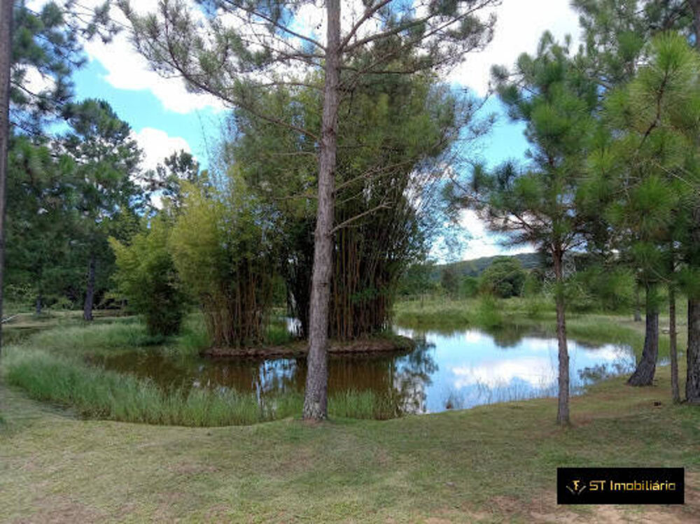 Sítio, 3 quartos, 4 hectares - Foto 1
