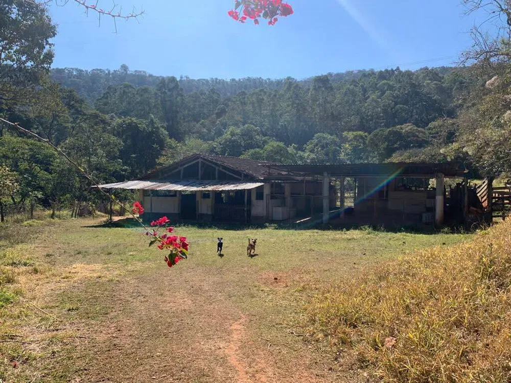 Sítio, 8 quartos, 26 hectares - Foto 16