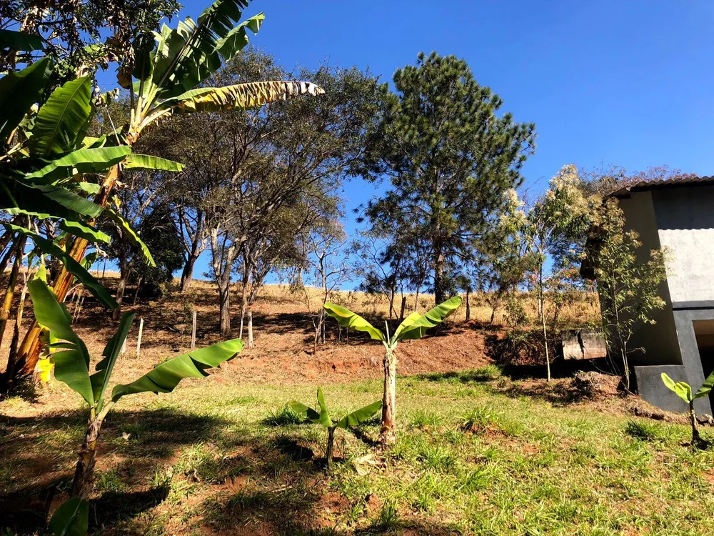Sítio, 8 quartos, 26 hectares - Foto 12
