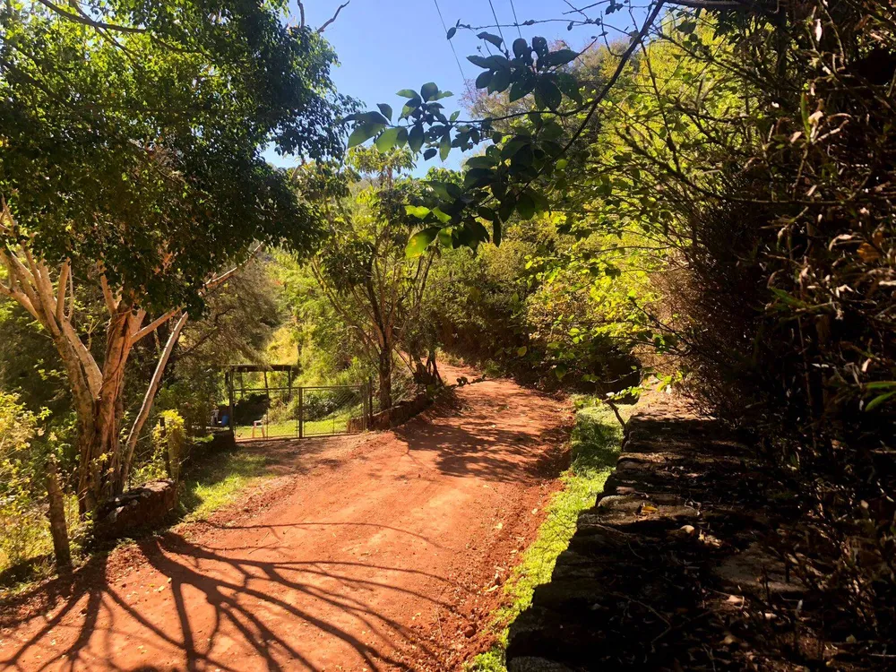 Sítio, 8 quartos, 26 hectares - Foto 8