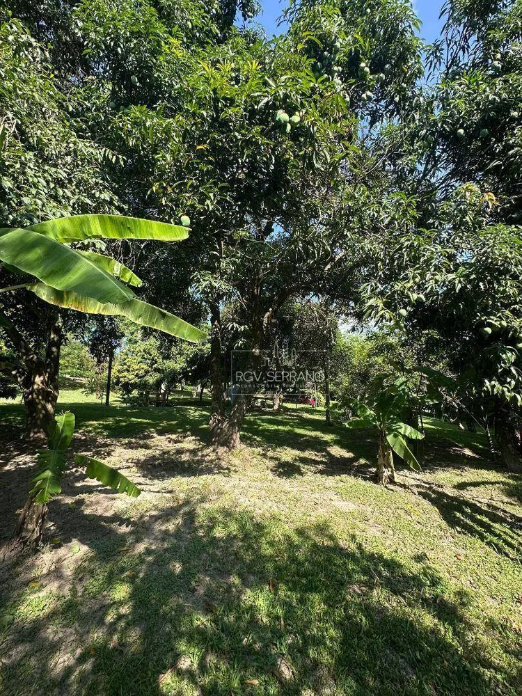 Chácara, 3 quartos, 5000 m² - Foto 12