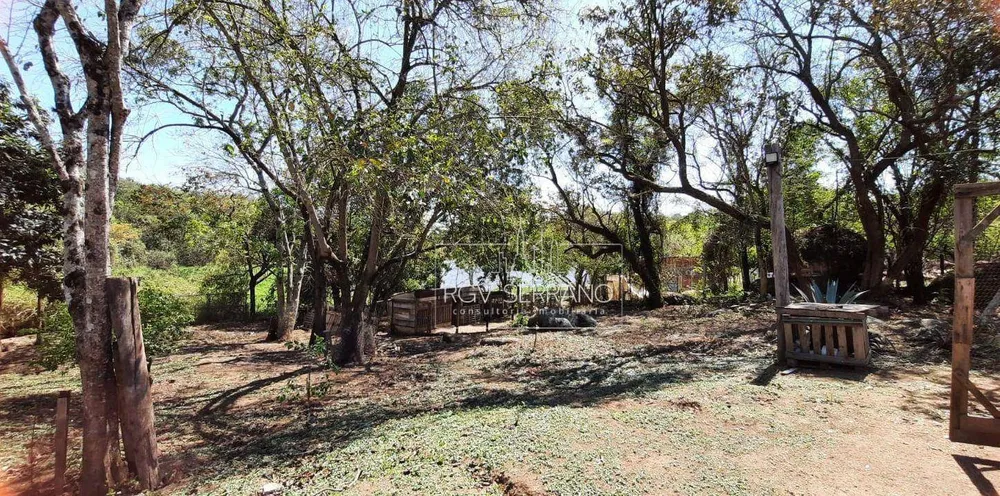 Sítio, 5 quartos, 3 hectares - Foto 4