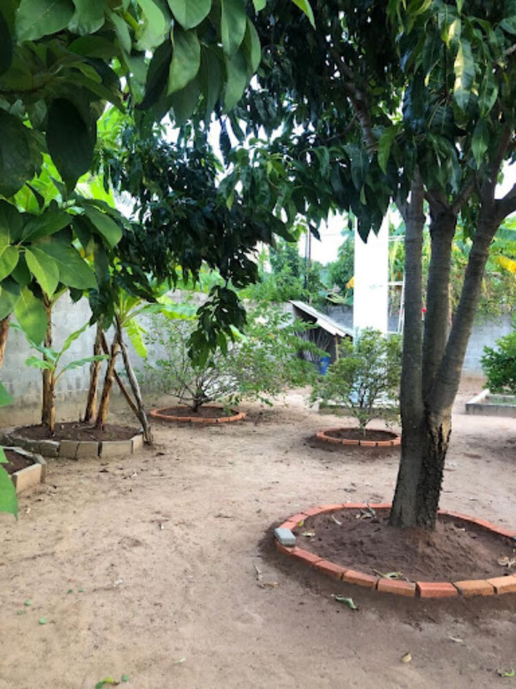 Chácara, 4 quartos, 1000 m² - Foto 7