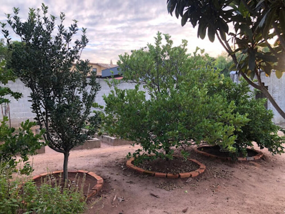 Chácara, 4 quartos, 1000 m² - Foto 5