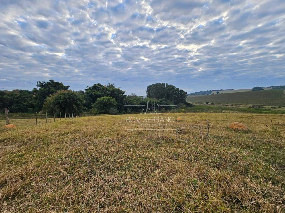 Sítio, 3 hectares - Foto 4