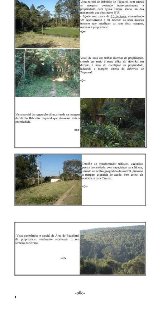 Terreno, 45 hectares - Foto 3