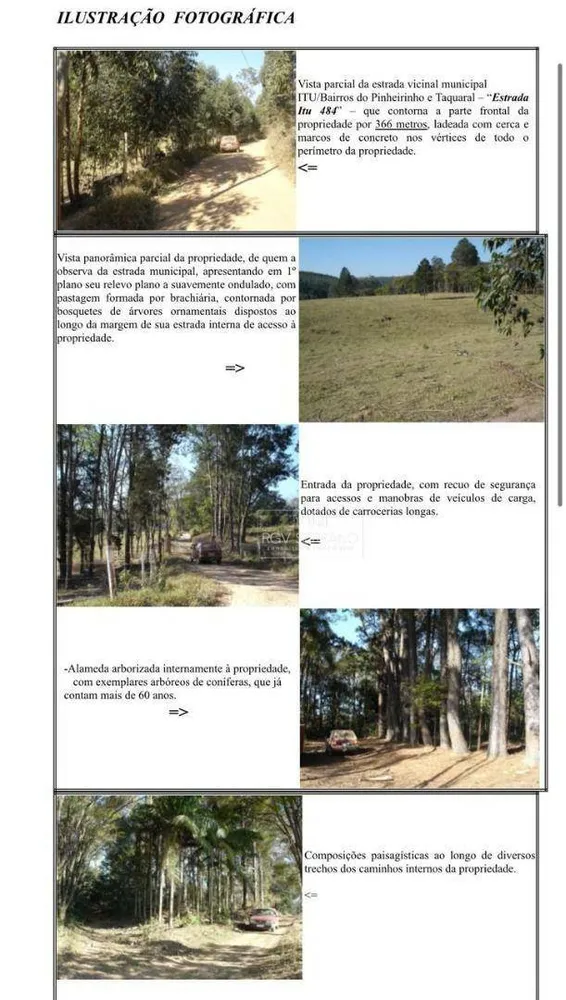 Terreno, 45 hectares - Foto 4