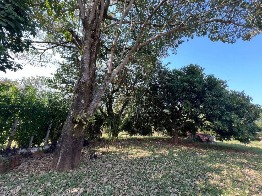 Chácara, 4 quartos, 9080 m² - Foto 15