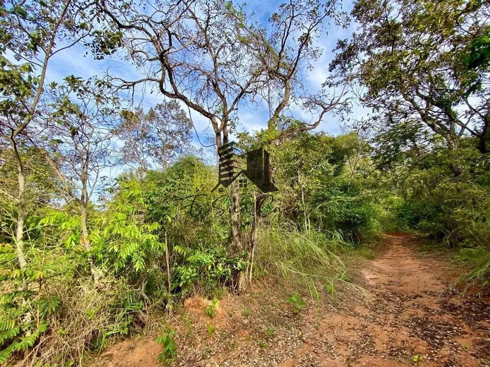 Casa, 6 quartos, 500 m² - Foto 23