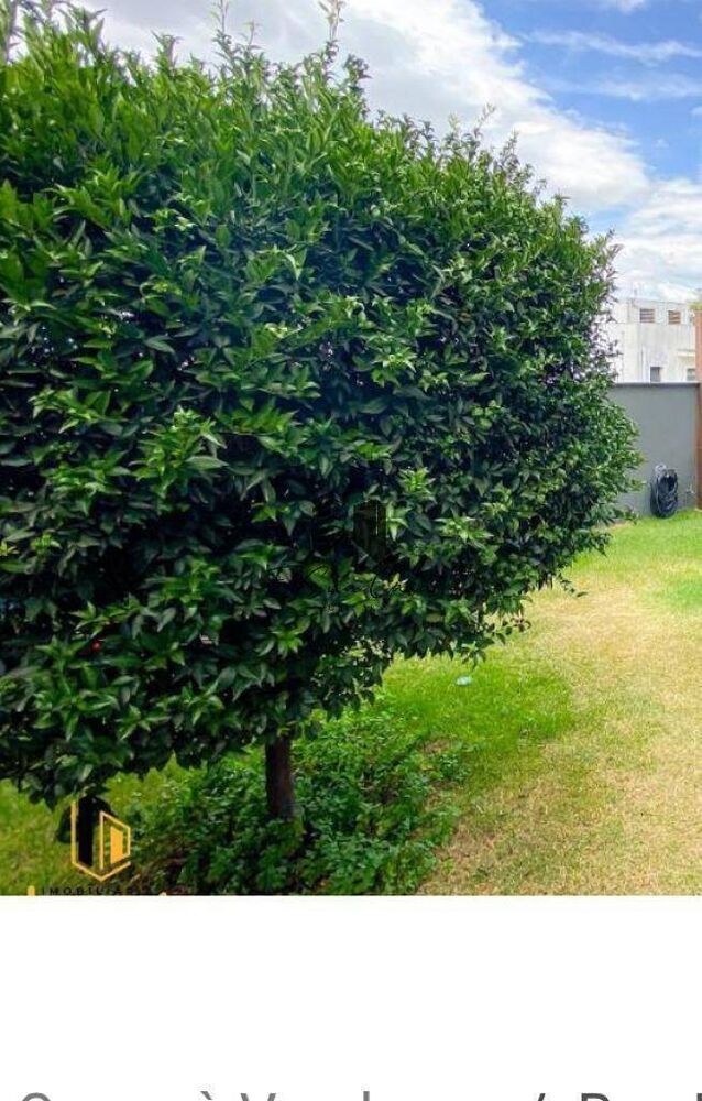 Casa, 4 quartos, 313 m² - Foto 13