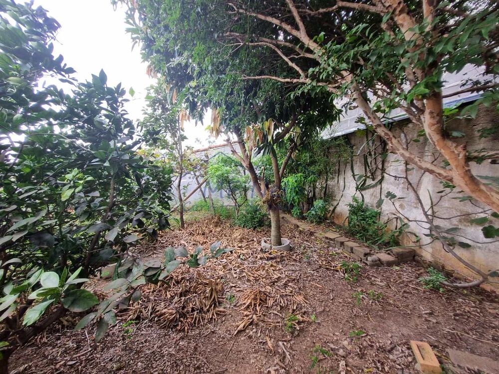 Casa à venda com 2 quartos, 300m² - Foto 28