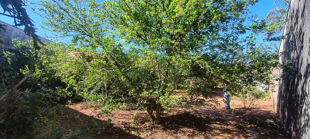 Terreno, 300 m² - Foto 6