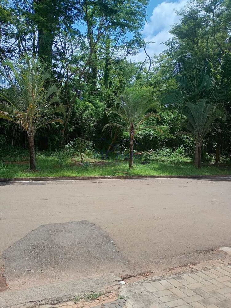Casa, 3 quartos, 250 m² - Foto 4