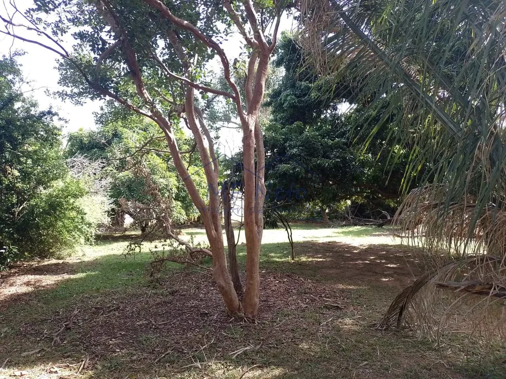 Chácara, 1 quarto, 5464 m² - Foto 6