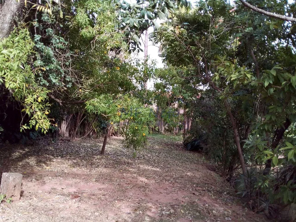 Chácara, 1 quarto, 5464 m² - Foto 4