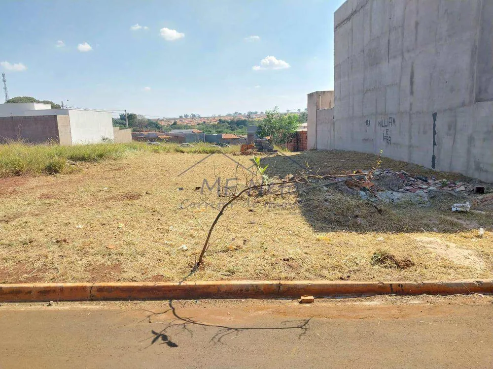 Terreno, 250 m² - Foto 2