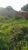 Terreno, 250 m² - Foto 1