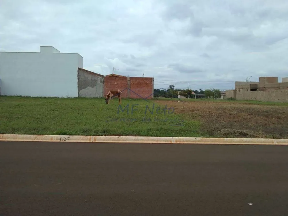 Terreno, 250 m² - Foto 2