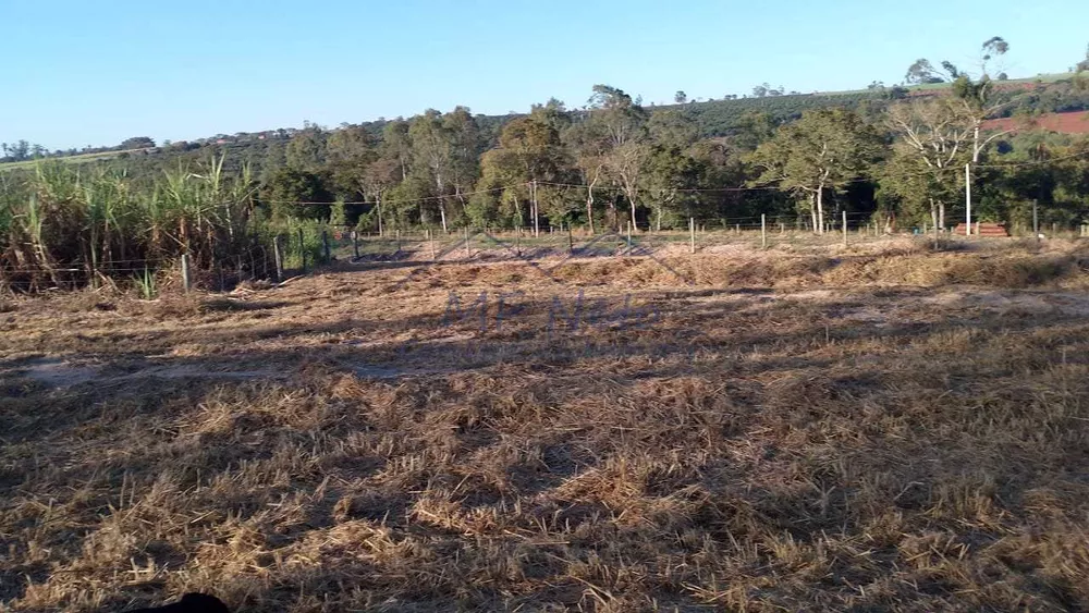 Fazenda à venda com 1 quarto, 2500m² - Foto 2