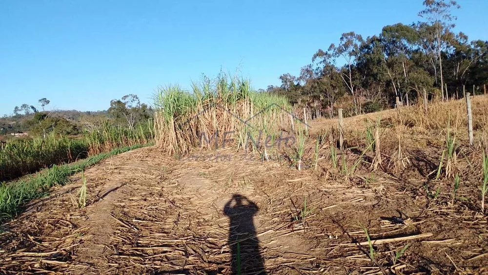 Fazenda à venda com 1 quarto, 2500m² - Foto 6