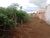 Terreno, 300 m² - Foto 5